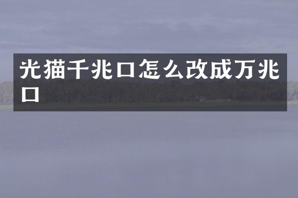 光猫千兆口怎么改成万兆口