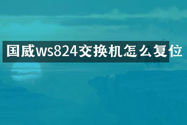 国威ws824交换机怎么复位