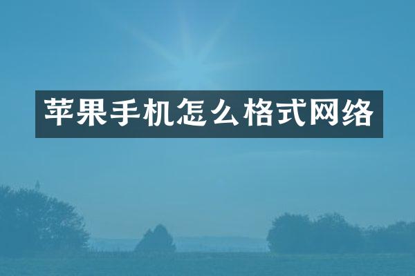 苹果手机怎么格式网络