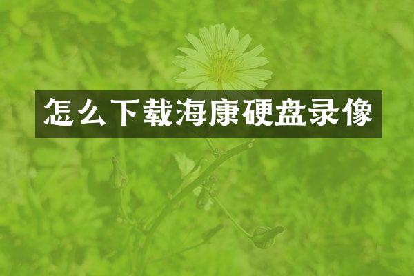 怎么下载海康硬盘录像