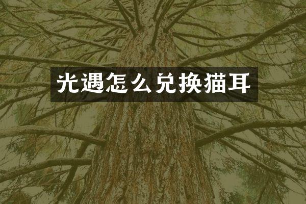 光遇怎么兑换猫耳