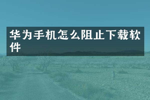华为手机怎么阻止下载软件