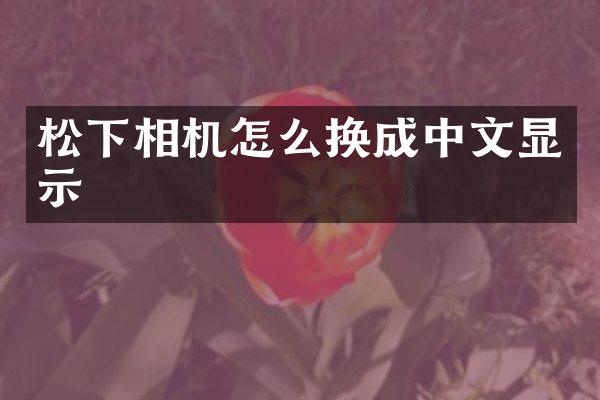 相机怎么换成中文显示