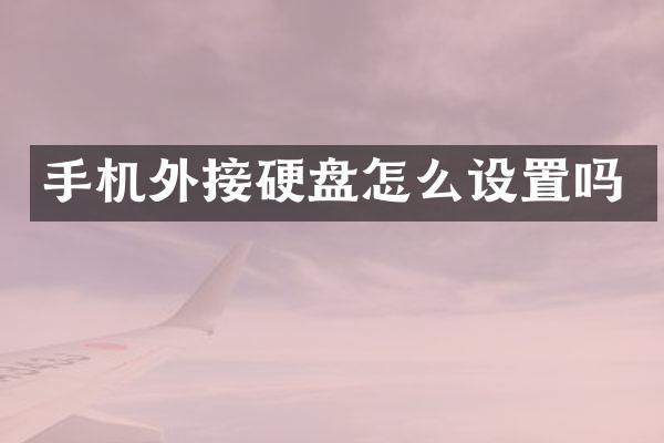 手机外接硬盘怎么设置吗