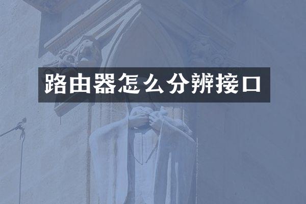 路由器怎么分辨接口