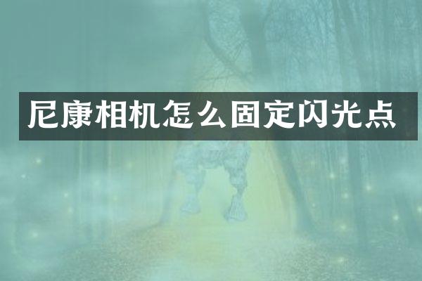 尼康相机怎么固定闪光点