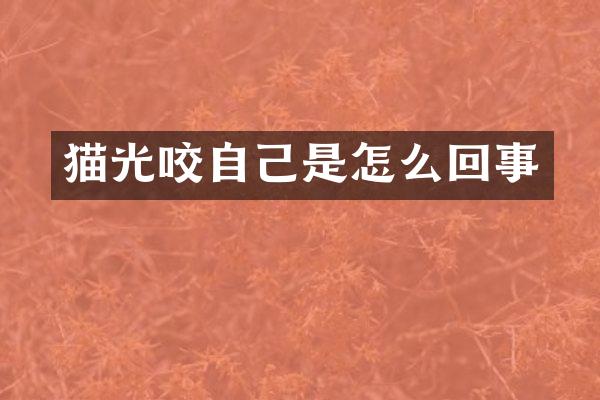 猫光咬自己是怎么回事