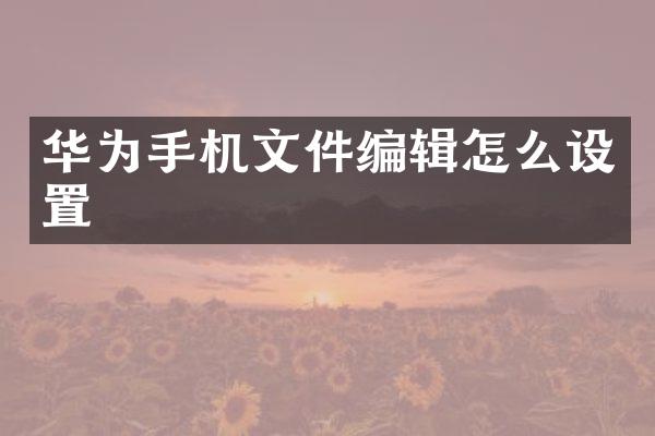 华为手机文件编辑怎么设置
