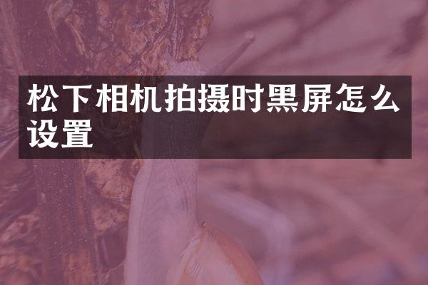 相机拍摄时黑屏怎么设置