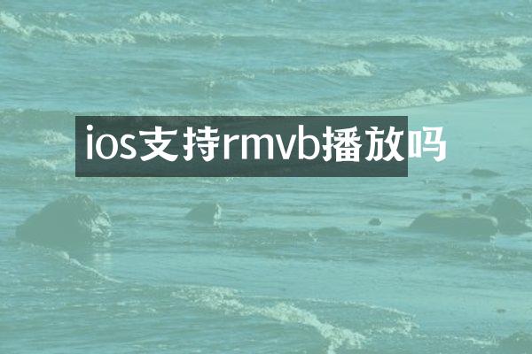 ios支持rmvb播放吗