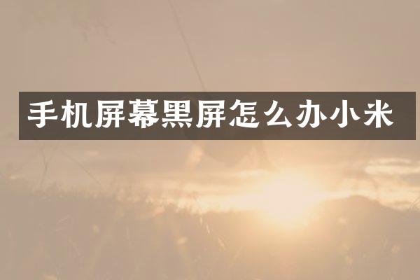手机屏幕黑屏怎么办小米