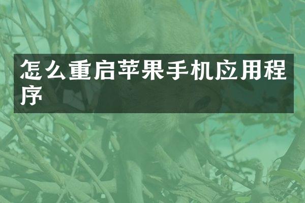 怎么重启苹果手机应用程序