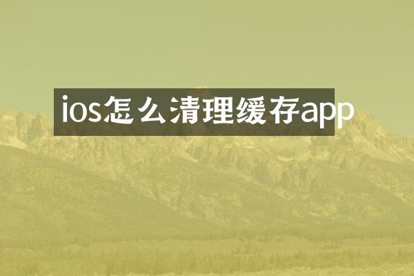 ios怎么清理缓存app