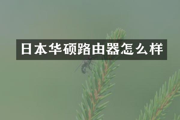 日本华硕路由器怎么样