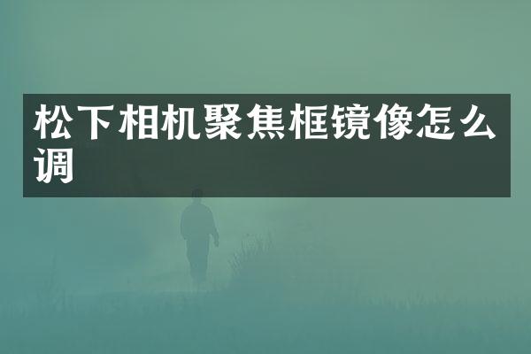 相机聚焦框镜像怎么调
