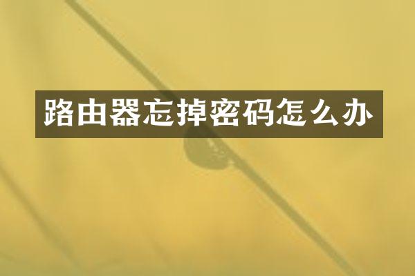 路由器忘掉密码怎么办