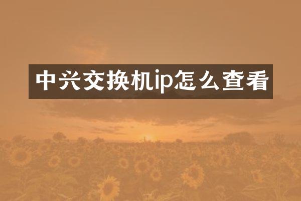 中兴交换机ip怎么查看