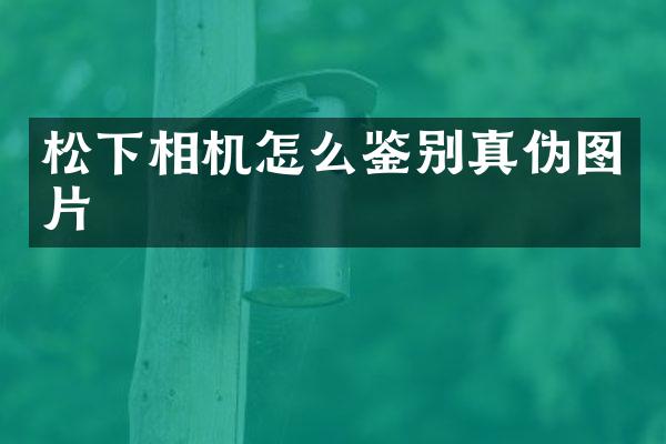 相机怎么鉴别真伪图片