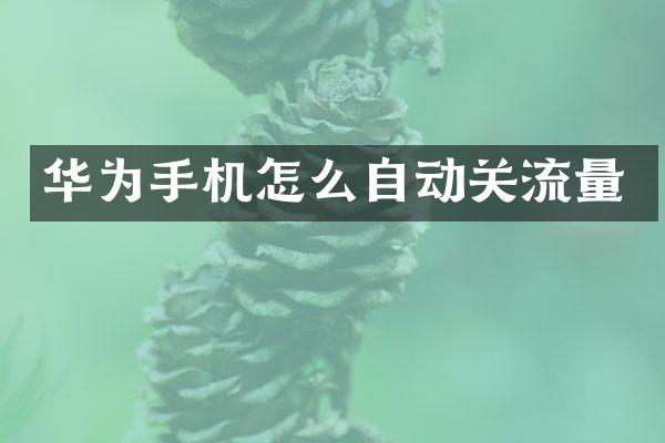 华为手机怎么自动关流量
