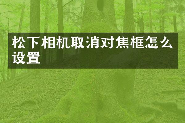 相机取消对焦框怎么设置