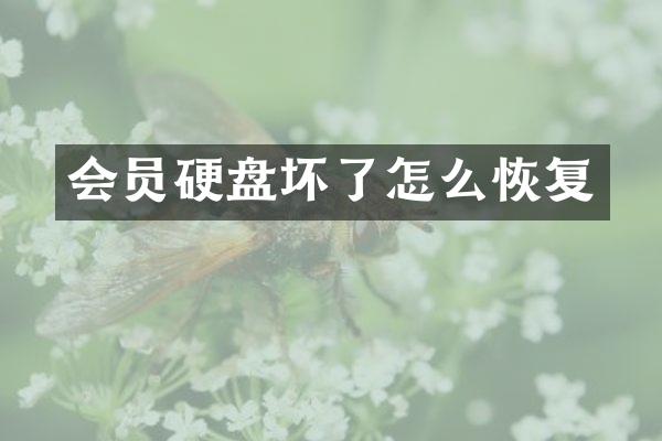 会员硬盘坏了怎么恢复