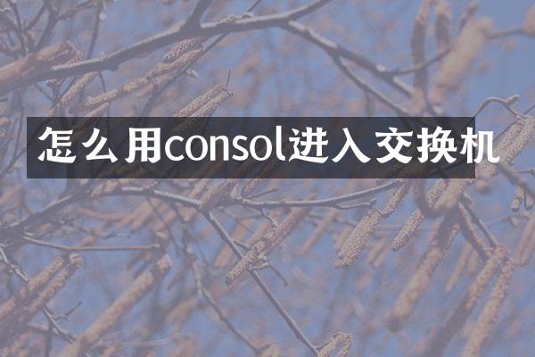怎么用consol进入交换机