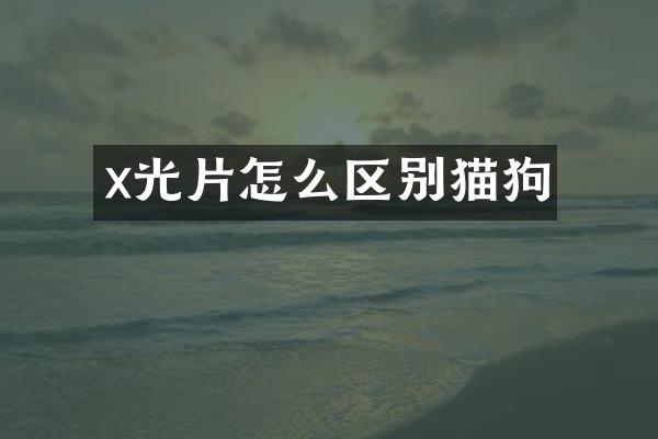 x光片怎么区别猫狗