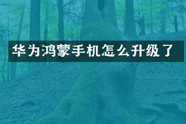 华为鸿蒙手机怎么升级了