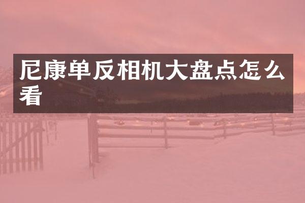 尼康单反相机大盘点怎么看