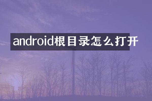 android根目录怎么打开