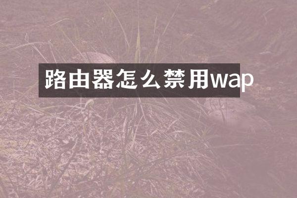路由器怎么禁用wap