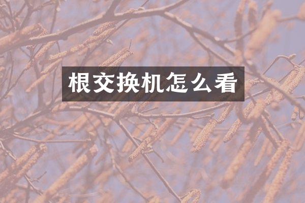 根交换机怎么看