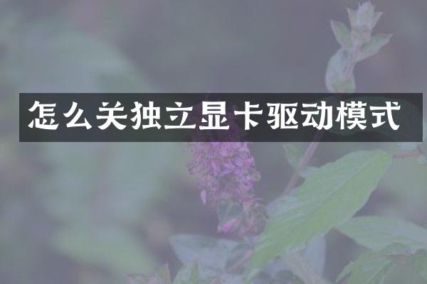 怎么关独立显卡驱动模式