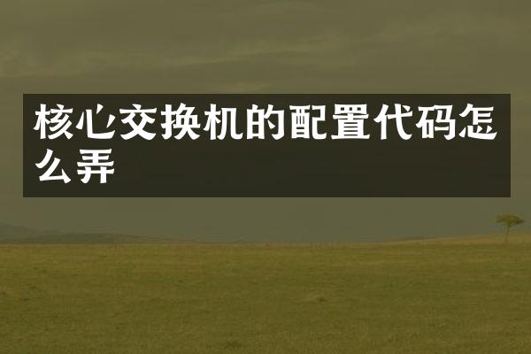核心交换机的配置代码怎么弄