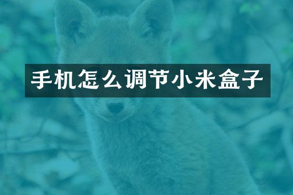 手机怎么调节小米盒子