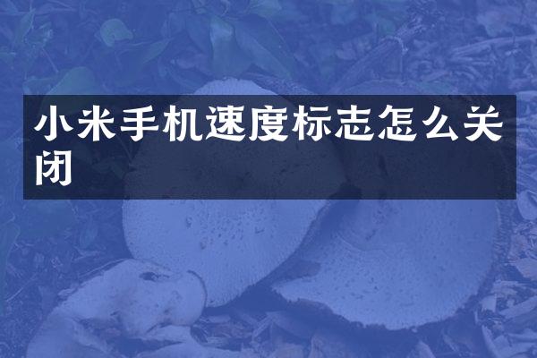 小米手机速度标志怎么关闭