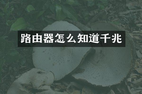 路由器怎么知道千兆