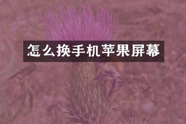 怎么换手机苹果屏幕
