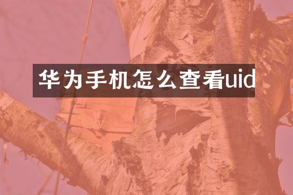 华为手机怎么查看uid