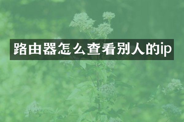 路由器怎么查看别人的ip