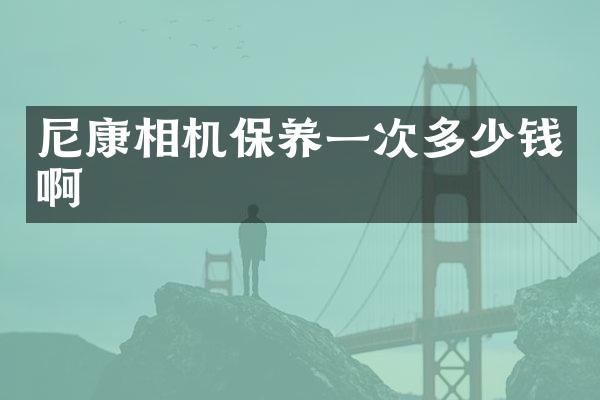 尼康相机保养一次多少钱啊