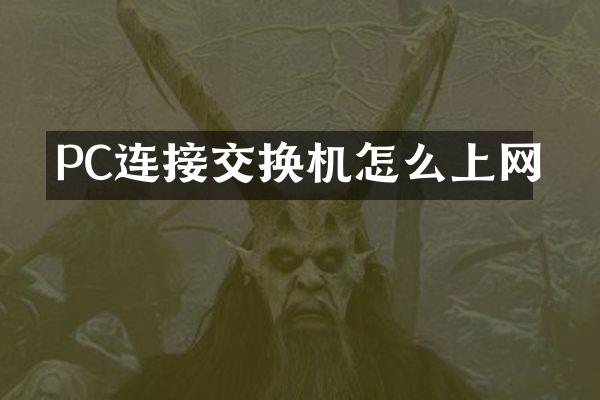PC连接交换机怎么上网