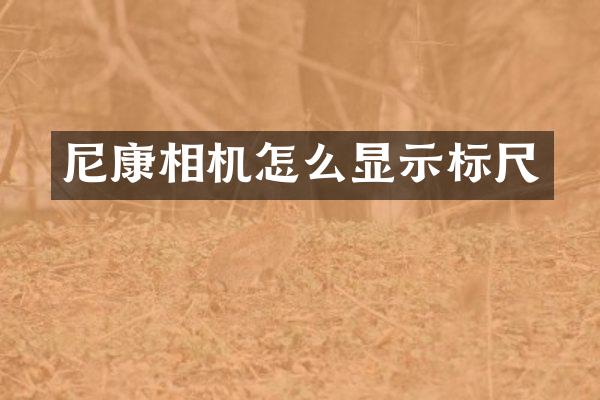 尼康相机怎么显示标尺