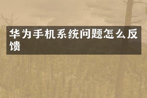 华为手机系统问题怎么反馈