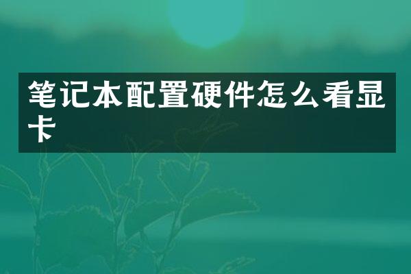 笔记本配置硬件怎么看显卡