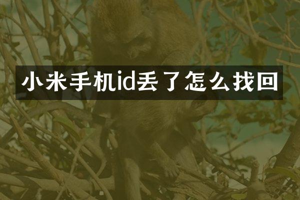 小米手机id丢了怎么找回