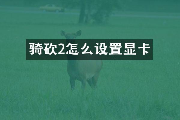 骑砍2怎么设置显卡