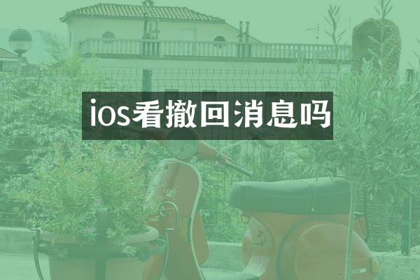ios看撤回消息吗