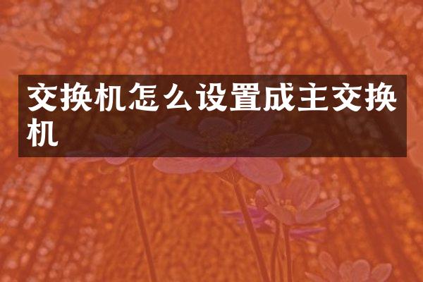 交换机怎么设置成主交换机