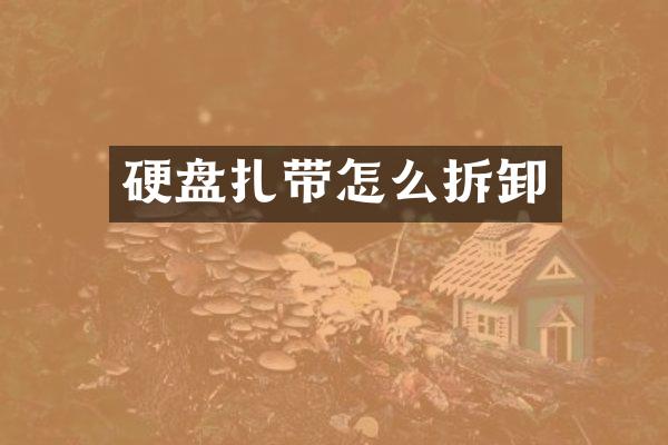 硬盘扎带怎么拆卸